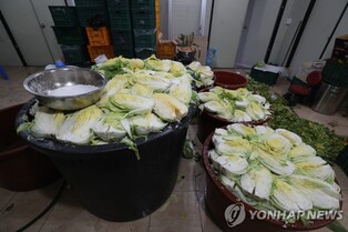 '김장해야 하는데 소식없는 절임배추' 유명판매업자 먹튀 의혹
