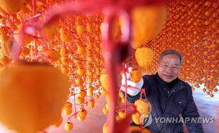 '달콤 쫄깃' 산청곶감축제 29일 개막…추억 쌓기 행사 다채