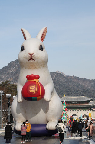 [Moment to Focus] Ahead of Year of Rabbit