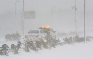 [Moment to Focus] Blizzard in Jeju