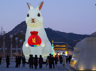 [Moment to Focus] Giant rabbit