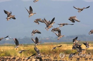 서산시, '아시아-대양주 습지 네트워크' 가입 본격 활동