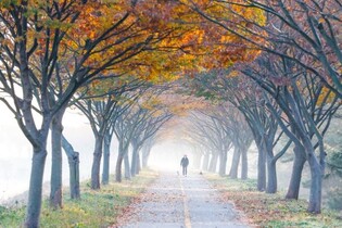 김해시가 나아갈 방향…느린 삶 '슬로시티' 재인증 추진