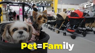 How South Koreans pamper their pets