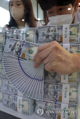 Foreign currency savings hit 10-year high in Nov. as businesses push for dollar liquidity