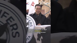 101 live Korean dairy cows are flying to Nepal for the first time