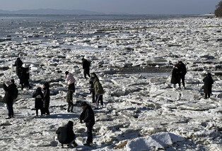 [Moment to Focus] Frozen seawater