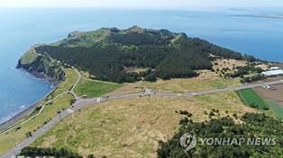 보존 추진 제주 송악산에 '스카이워크' 설치안 제시돼 논란