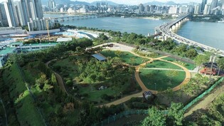 강남구, 삼성해맞이공원서 4년 만에 해맞이 행사