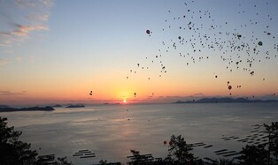 완도군, '해맞이 행사' 취소…"군민·관광객 안전 고려"