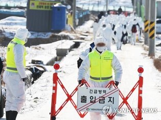 S. Korea extends intensive disinfection campaign against raging avian influenza