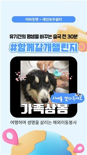 GS리테일, 유기견 해외입양 돕는다…이동 봉사자 연결 챌린지