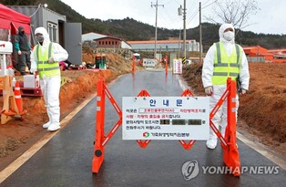 S. Korea confirms additional bird flu case at duck farm in southern region