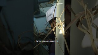 Walkway at Seoul's busiest station slumps down