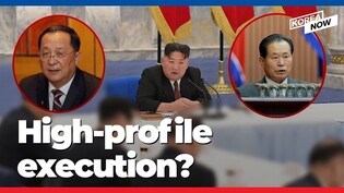 Did North Korea execute ex-Foreign Minister Ri Yong-ho?