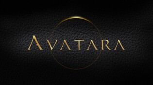 [게시판] 엔엑스아이오, 블록체인 게임 '아바타라' 백서