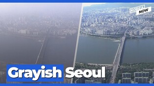 Fine dust levels - the worst so far this winter