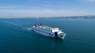 [게시판] 팬스타, 부산항 원나잇크루즈 가족 이벤트