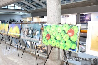 Art museum at hospital...Kangwon National University Hospital’s special exhibition of 150 oil paintings