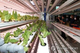 S. Korea to double budget for agricultural ODA programs by 2027