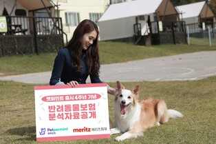 반려견 보험금 지급사유 1위는 위염·장염