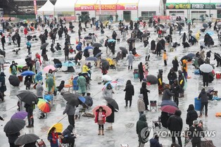 "잡았다!"…'부슬부슬' 궂은 날씨에도 산천어 얼음낚시 '삼매경'