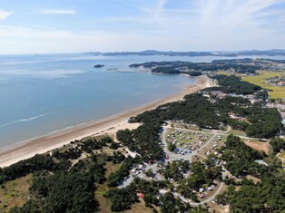 작년 태안 방문객 1천700만명…전년보다 49% 증가