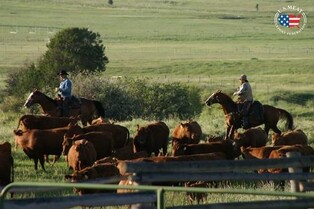 U.S. beef takes up over half of S. Korea's total imports in 2022