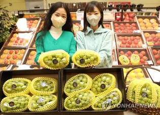 [주말N쇼핑] 설연휴 먹거리 행사…프리미엄·친환경·가성비 테마