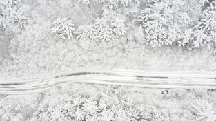 국내 대표 겨울 눈꽃 산행지 태백산 탐방객 급증