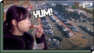 Eat, shop and relax at S. Korea's biggest rest stop on highway
