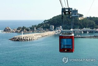삼척시, 해상케이블카 30일부터 운영 임시 중단