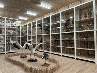 Visit Daejeon Natural Monument Center storage, treasure warehouse of natural monuments