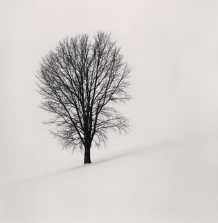 Photographer Michael Kenna holds exhibition at K.O.N.G Gallery in S. Korea