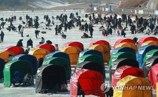 평창송어축제 방문객 40만 명 돌파…한 달여간 대장정 마무리