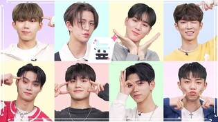 [늎:New Face] 8TURN│케이팝 누구 차례⁉ 에잇턴 차례‼ 흑역사???? 탄생시키고 간 턴깅이들 ????보러와????