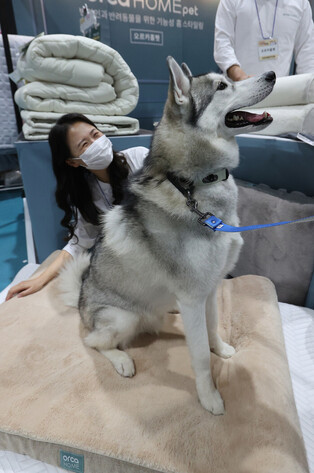 [Moment to Focus] Industry fair on pet goods