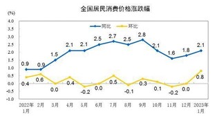 中 1월 소비자물가 2.1% 상승…생산자물가는 0.8% 하락(종합2보)