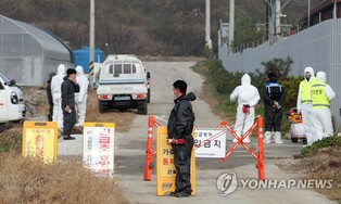 S. Korea reports new swine fever case