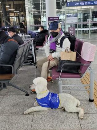 뇌전증지원센터 "뇌전증 환자용 도우미견 국내 첫 분양"
