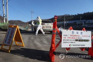 S. Korea reports 3 more avian influenza cases