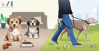 Buan County in North Jeolla Province to open playground for pets
