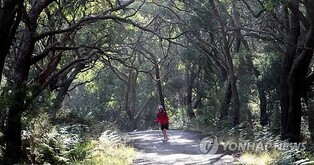 [길따라 멋따라] 800만 원짜리 걷기 상품이 불티나게 팔린 이유는?