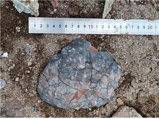 [Moment to Focus] Fossilized dinosaur eggs found