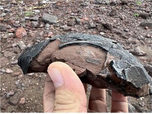 [Moment to Focus] Fossilized dinosaur eggs found