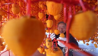 '지리산 산청곶감' 전국 입맛 사로잡았네…8년 연속 축제 호평