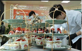 강진 청자축제서 즐기는 딸기 파티 '성황'