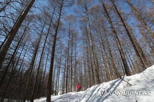 강원도, 웰니스·의료관광 사업지로 선정…국비 15억원 확보