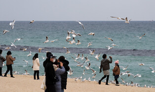 [Moment to Focus] Holiday in East Sea