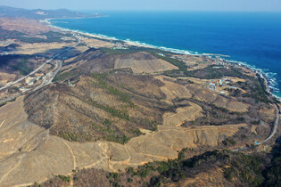[Moment to Focus] One year after big forest fire